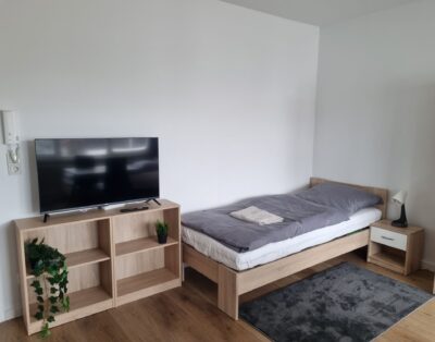 MTK04-Ferienwohnung in Hattersheim